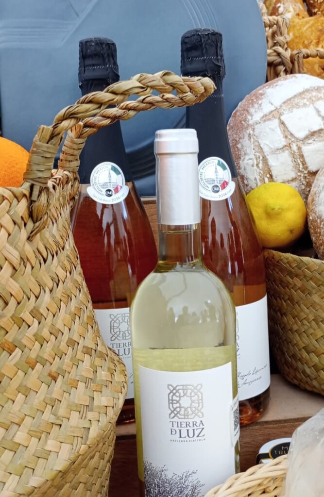 Que sea con quesos de Lagos Vino Tierra de Luz
