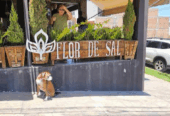 Flor de Sal