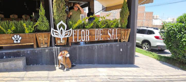 Flor de Sal