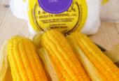 La Chocita del Elote