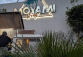 Moyami wings