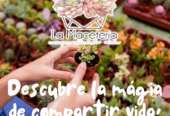 La maceteria
