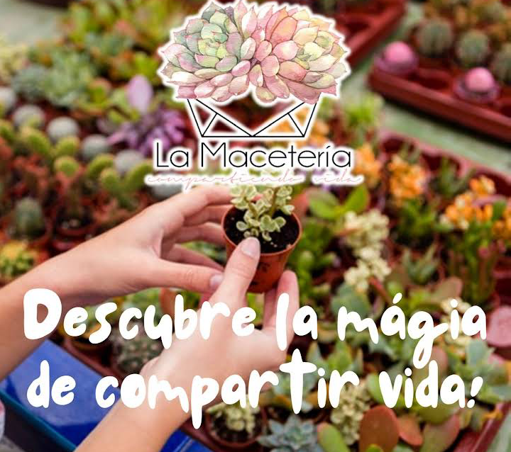 La maceteria