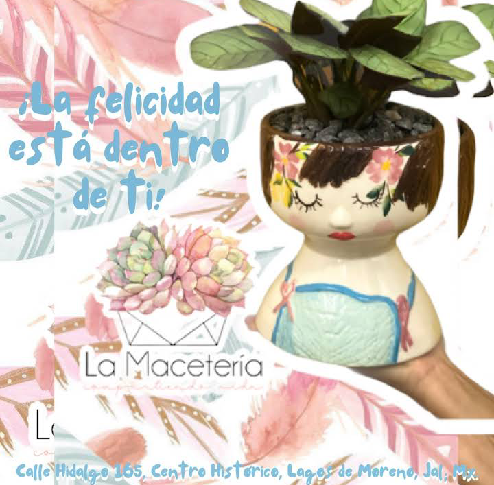 La maceteria