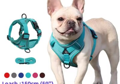 WhatsApp-Image-2025-11-28-at-16.44.12_1d23fe3b