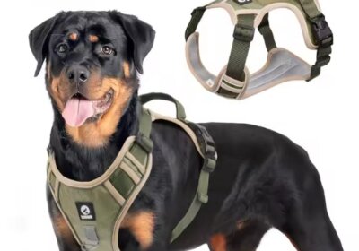 WhatsApp-Image-2025-11-28-at-16.44.12_4dcb81c7