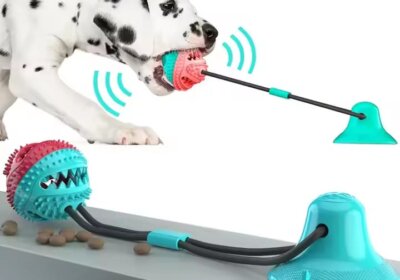 WhatsApp-Image-2025-11-28-at-16.44.12_575ffbc3