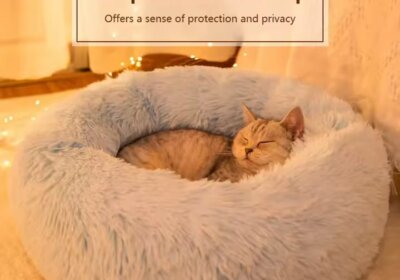 WhatsApp-Image-2025-11-28-at-16.44.12_61b50774