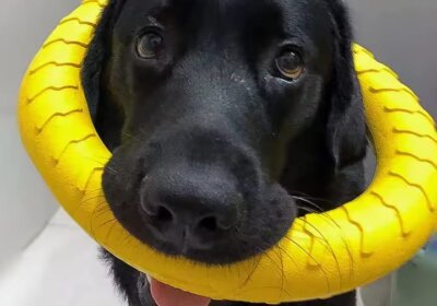 WhatsApp-Image-2025-11-28-at-16.44.12_eee03d99