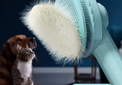 WhatsApp-Image-2025-11-28-at-16.44.12_f0f9f94a