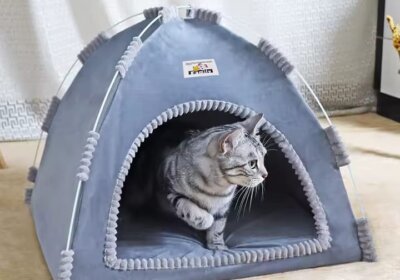 WhatsApp-Image-2025-11-28-at-16.44.13_c4c18408