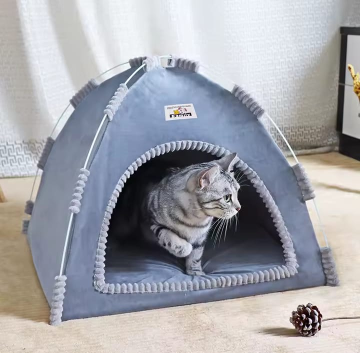 Carpa para Gato