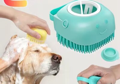 WhatsApp-Image-2025-11-28-at-16.44.13_fd0f586e